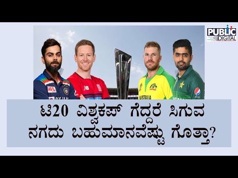 T20 ಕ್ರಿಕೆಟ್‍ನಲ್ಲಿ ಭಾರತ vs ಪಾಕಿಸ್ತಾನ ನಡುವೆ ಯಾರು ಬೆಸ್ಟ್? | Public TV