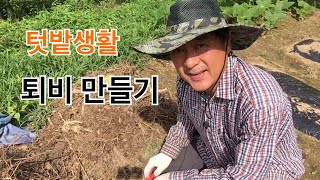 퇴비 만드는 방법 / 텃밭 생활주변 재료들 이용