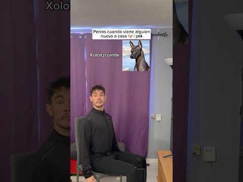 El último vive solo 🤣 #humorperros #humorviral #humormascotas #perrosderisa #memesdeperros