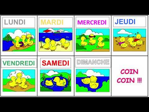 La semaine des Canards