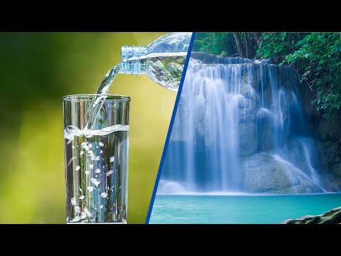 Spring Water vs Purified Water: Which is Better for You?