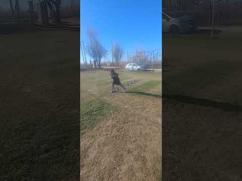 JOAQUIN DE ALLEN ¡ASÍ SE ENTRENA UN FUTURO CAMPEÓN! ⚽️🏆