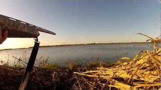 Texas Duck Hunting -"Full Limits"- 2011-2012 Season