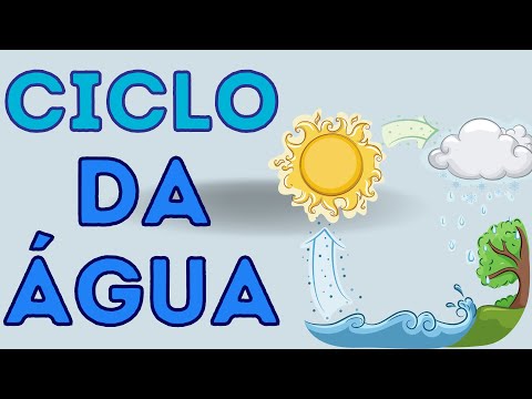 O ciclo da água: entenda como a água é renovada na natureza