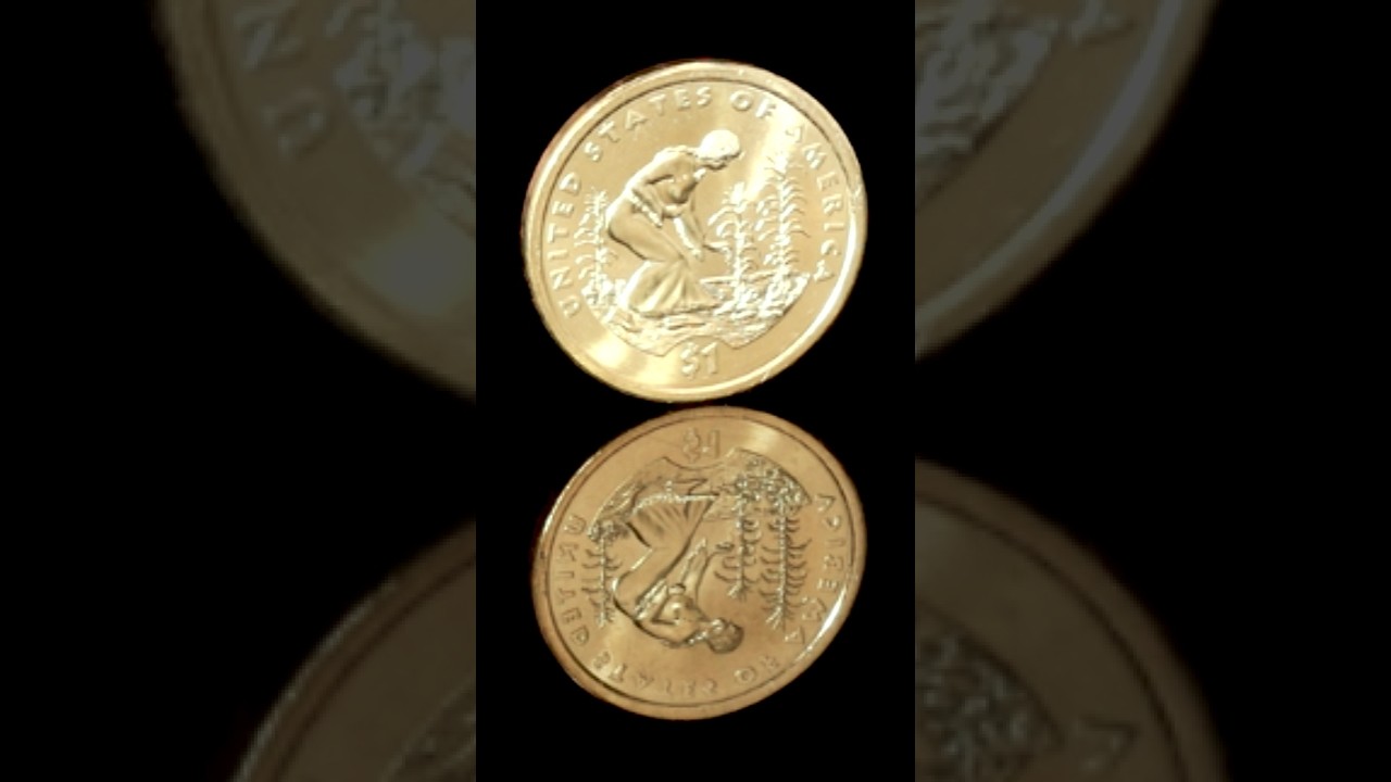 2009-D Native American Dollar | Littleton Coin Company