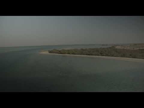Empty beach with mangrove, Red Sea, Farasan, Saudi Arabia