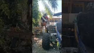 Download lagu panen hasianyo untuak dijua. mancari pitih #tonton #dukuangambo #tonton #tq #bagi mp3 Download lagu panen hasianyo untuak dijua. mancari pitih #tonton #dukuangambo #tonton #tq #bagi mp3