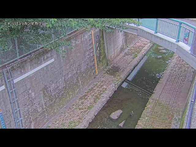 緑橋映像監視局