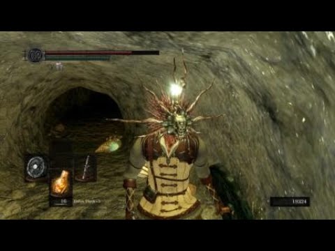 DARK SOULS™: REMASTERED_Hunter finds Crystal lizard in Tomb of the Giants