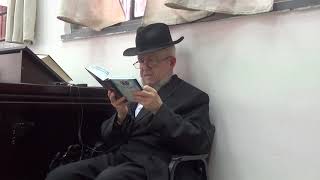 קריאת ספר איוב פרק י'
