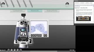 LNL: Using the Microscope, Labeling Images, Inserting Images into Your Lab Report