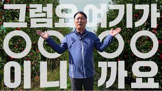🍎 스마트 과수원 안 하면 손해인 진짜 이유 ! (일손 줄고 품질 향상!) 🌿