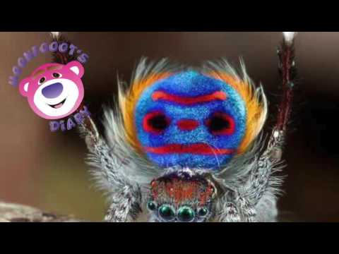 Dellmon - How Deep (Original Mix)