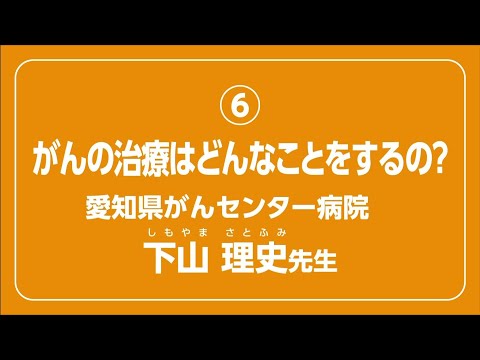 ハドロニチェ・モデスタ