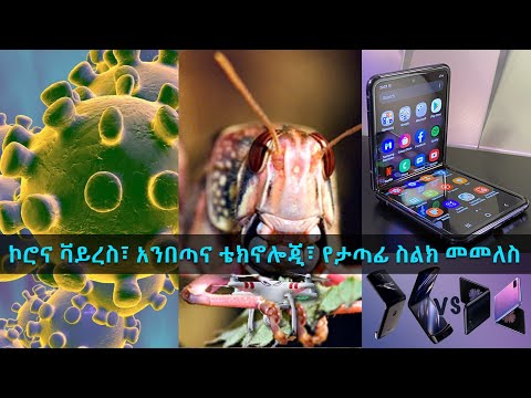 TechTalk With Solomon S16 Ep11:ኮሮናቫይረስ፣ አንበጣና ቴክኖሎጂ፣ ታጣፊ ስልክ | Coronavirus, Locusts, Flip phone