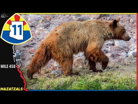 Episode 11: It Feels Like I'm Done Now (🌵AZT 2025)