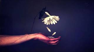 Four Nights Gone   Broken Wings