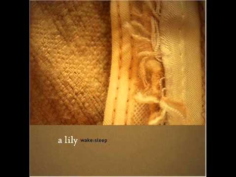 A Lily - You Are the Sun, Your Eyes Are the Sun