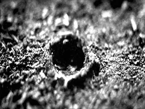 Trailer | The Pursuit Of Love