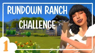 Llamas, Goats, and Cows OH MY!!! Rundown Ranch Challenge ~ The Sims 4