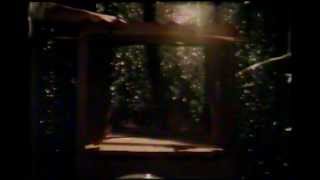 Shadowy Men On A Shadowy Planet - Musical Interlude