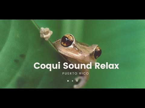Coqui Sound Puerto Rico Relax