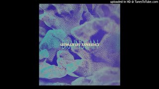 The Ultimate Life Experience - Brainscan (Bonus-Dub)
