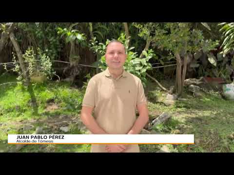 Ofrecen millonaria recompensa por asesinos de hombre en Támesis que hurtaron tres vehículos