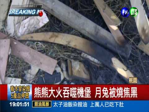 拆解工程引燃火勢 月兔被燒焦黑