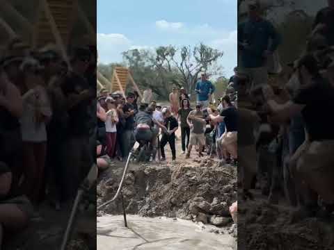 Swamp rail ✅ #reels #shortvideo #tiktok #crazy #bmx #shorts #short