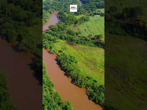 RIO SAPUCAÍ - SÃO JOSÉ DA BELA VISTA-SP / NUPORANGA-SP #shorts