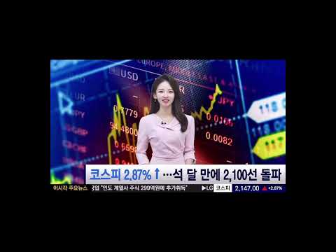 비디오 6