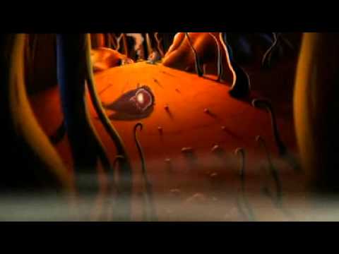 download lagu mp3 mp4 Namorrodor, download mp3 Namorrodor free downloadn, video klip Namorrodor