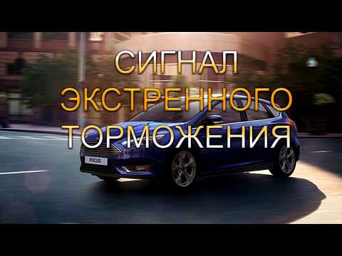 FFConfig 3 Lite Video