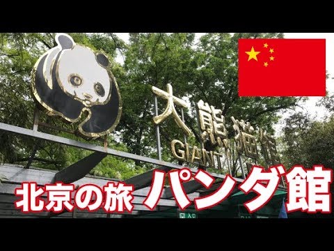 🇨🇳 Passeio em Pequim até o salão dos pandas no Zoológico de Pequim [viagem à China] Dia 4 [FIM]