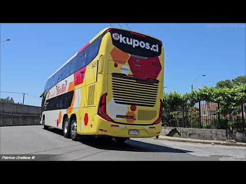 Buses en el terminal collao, concepción volumen 6 | bio bio, flixbus, transantin, eme bus y mas!