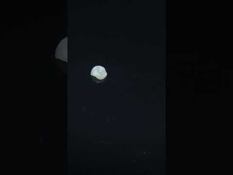 YouTube 썸네일
