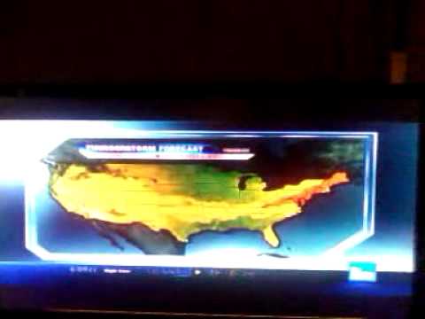 It's Not Always Cold In Buffalo - The Bunny the Bear