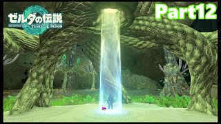 【12】ぼっち勇者の天空探検【ゼルダの伝説ティアーズオブザキングダム】