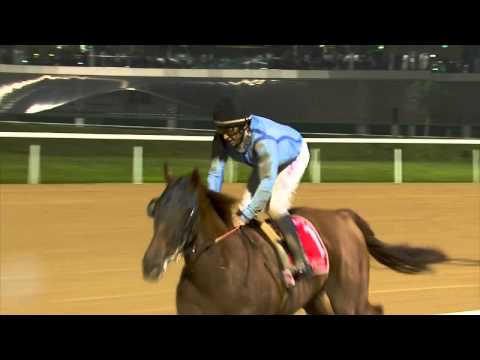 Dubai World Cup Replay 2015