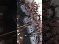 Zulu Traditional Wedding 4