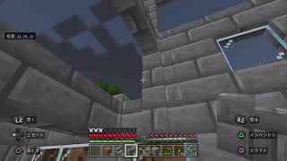 【マイクラ】まったりプレイ