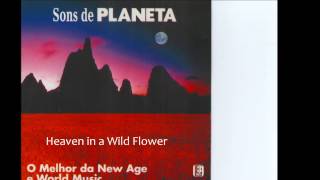 Bill Douglas - CD Circle of Moons