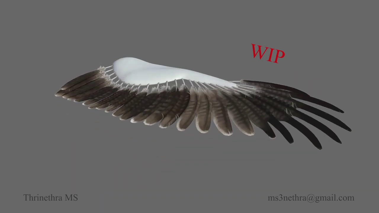 Wing | Dynamic Rig | Yeti Feathers | WIP