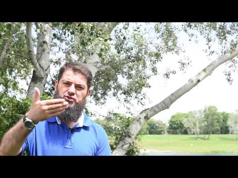 Ruaje Allahun, Allahu të ruan ty (Hadith 2/2) - Erhad Naili