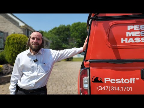 Interview with Aveumi Meirowitz, Owner of Pestoff Exterminating: check out his amazing services
