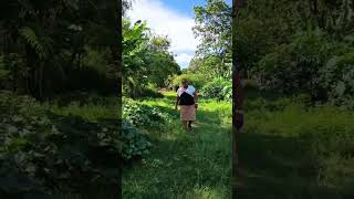 ApdD  Deus abençoe  a todos #gospelmusic #musica #musicosccb #hinosccb #duet #hinosccborquestrado