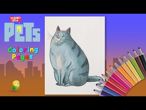 Coloring сat Chloe from The Secret Life of Pets. Coloring for kids. How to draw a cat cartoon. Video