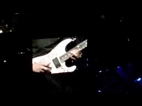 Tom Morello jamming at Springsteen concert