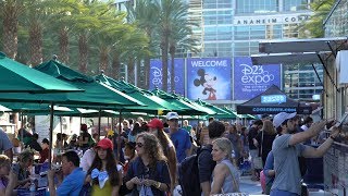 Hey it&#39;s D23! (Breezy and Robin Archive)